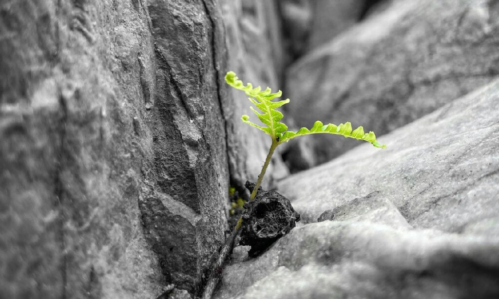 Resiliència: connectar amb les pressions de l’adolescència
